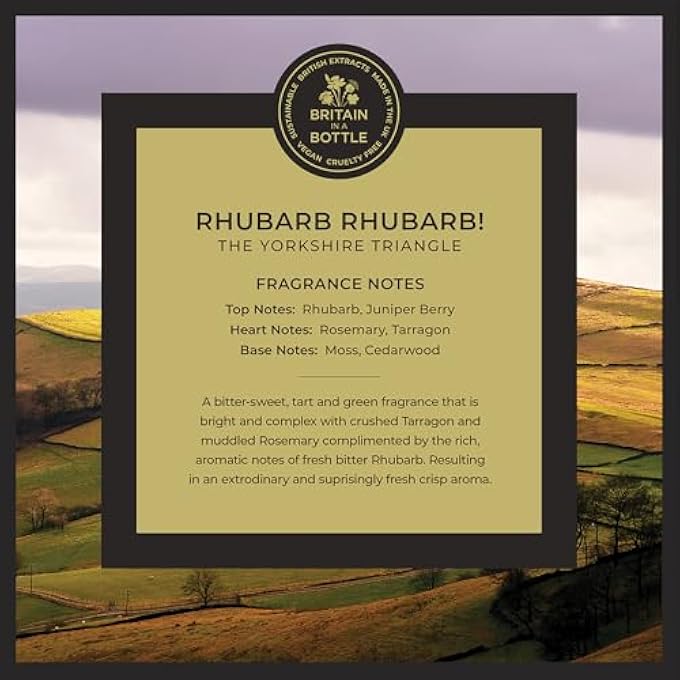 Noble Isle RHUBARB RHUBARB! LUXURY HAND WASH 250ML - Image 2